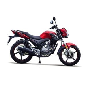 Roadmaster Velocity 100